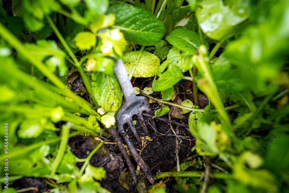 Fototapeta premium taking a soil sample in a garden in a field on a farm in australia