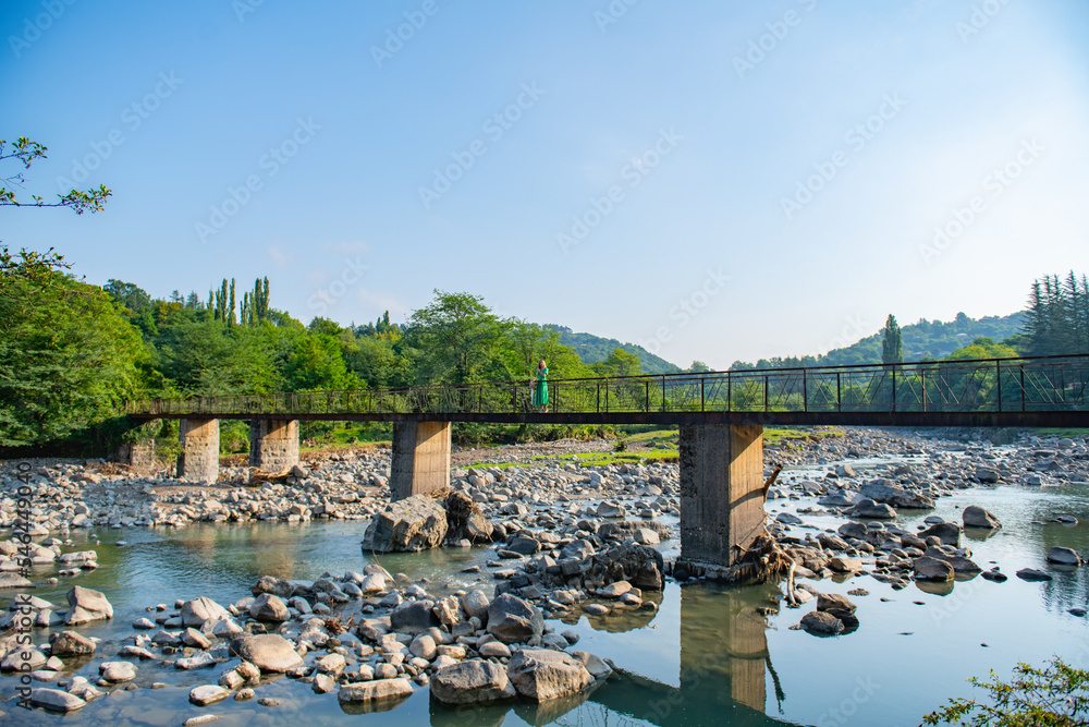beautiful bridge across the river in georgia