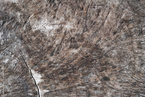 abstract texture pattern of surface on tree trunk      