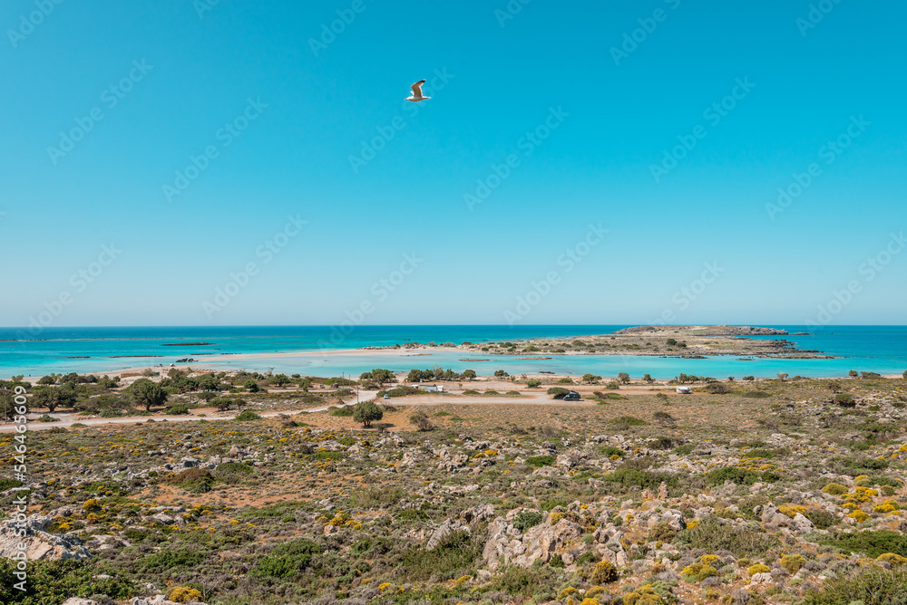 Elafonisi, crete island, greece: pink colored sandy beach with black rocks at the famous cretan lagoon