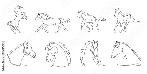 One line horses. Minimalism horse portrait and silhouette, stable animals single continuous line vector illustration set