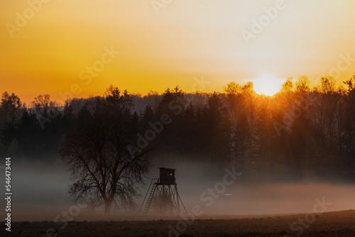 Lichtstimmung im Selketal Sonnenaufgang im Nebel photo