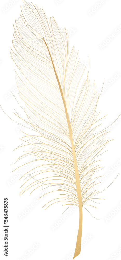 Fototapeta premium Gold feather hand drawn