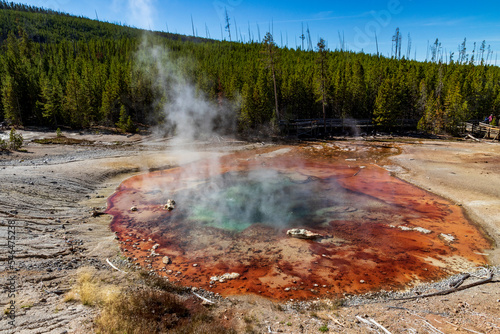 Hot spring at Norris Basin.Yellowstone national park. USA.