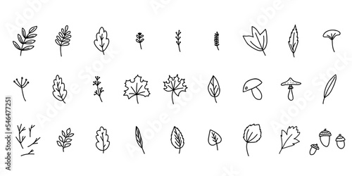 Hand drawn doodle style vector illustration set of fall forest nature elements such as twigs and branches, mushroom, acorns, berries, leaves of maple, oak, birch, aspen. Black sketch isolated on white