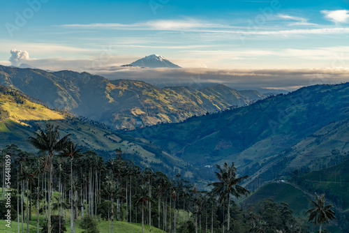 Wax palm trees, native to the humid montane forests of the Andes, towering the landscape of Cocora Valley at Salento, among the coffee zone of Colombia photo