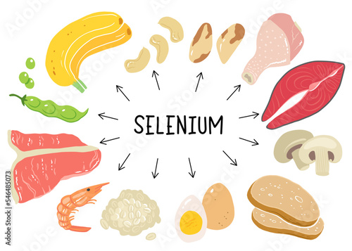 Selenium vector stock illustration. Food products with a high content of the mineral. tuna fish, meat, mushrooms, shrimps, brazil nuts, cashew, oats, bread, beans. Information poster. Food, diet.