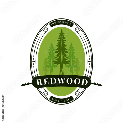 Tree logo Redwood for Forestry Services, such as work and tree planting