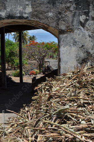 Caribic sugar cane rum production curacao island photo