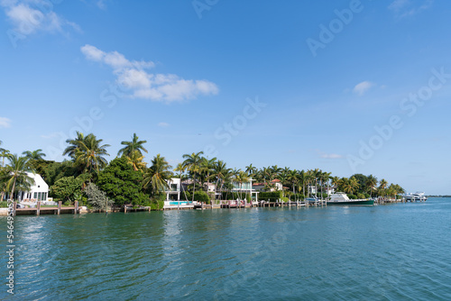 skyline landscape with palm trees for summer vacation