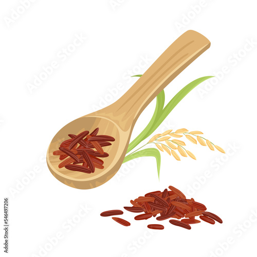 Red rice in wooden spoon and ear isolated on white background. Vector cartoon illustration of rice seed.
