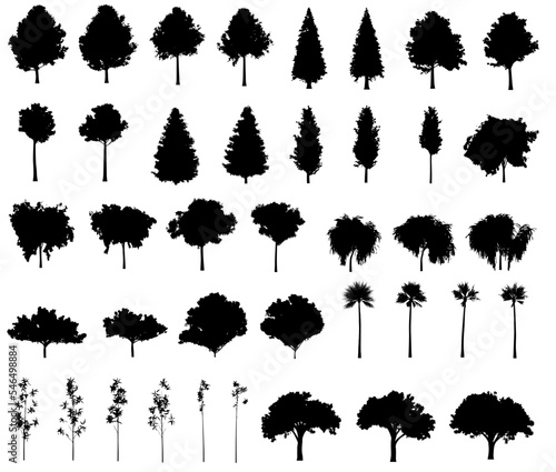 Tree and forest silhouettes - Vector illustration set collection of trees 