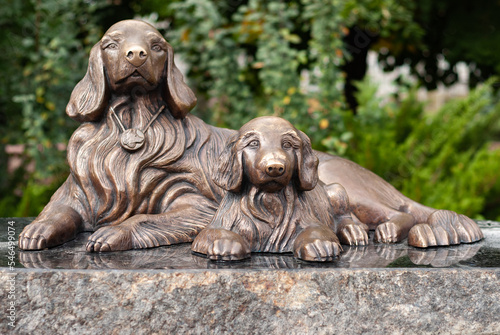 Dogs close-up, bronze monument dedicated to dog loyalty