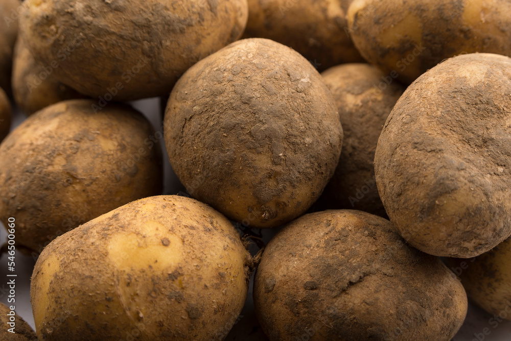 Stack of unwashed potatoes on a white background Stack of unwashed potatoes on a white background