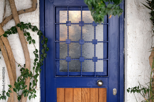Beautiful blue front door framed by plants on white wall