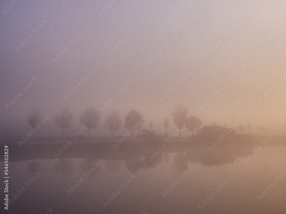 Fototapeta premium misty morning on the lake