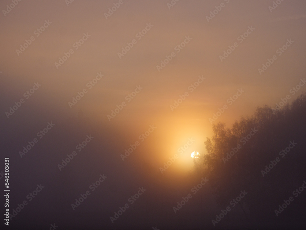 Sunrise in a foggy landscape Sunrise in a foggy landscape