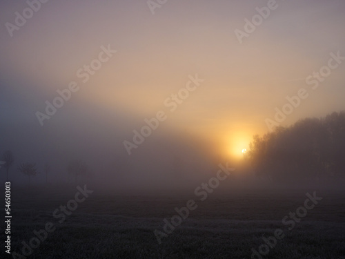 sunrise in the fog © henrik