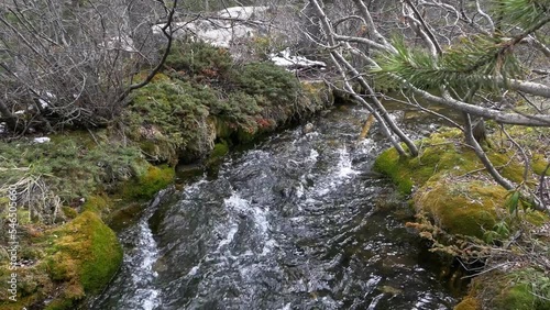 Beautiful Rocky Mountains creek surrounded by moss banks photo