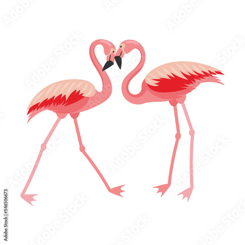 Flamingo birds kiss in shape of heart, cartoon vector illustration. Pink bird flying, standing, eating, showing love. Vacation, wildlife © PCH.Vector