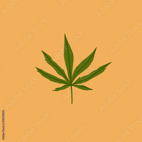 Hand drawn vector abstract graphic clip art illustration of Medical Marijuana, smoking accessories.Hemp leaf for smoking weed.Cannabis and weed legalization concept design.Trendy vector illustration.