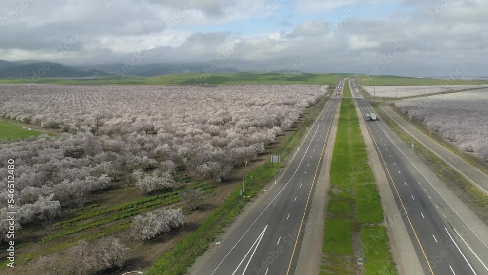 Aerial View of Traffic on California State Route Highway 1 and Beautiful Almond Tree Fields in Blooming White Colors, Drone Shot Aerial View of Traffic on California State Route Highway 1 and Beautiful Almond Tree Fields in Blooming White Colors, Drone Shot