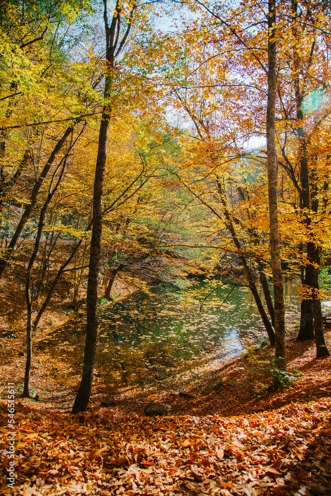 A lake in the forest in autumn in Turkey.
