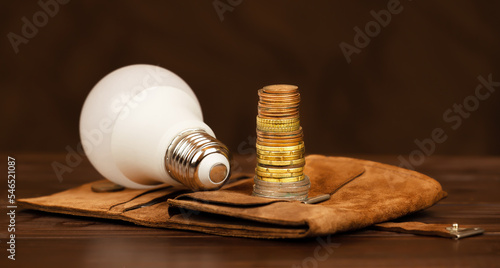 Light bulb and euro money coins on a wallet. Energy savings, efficiency, save power or energy crisis banner.
