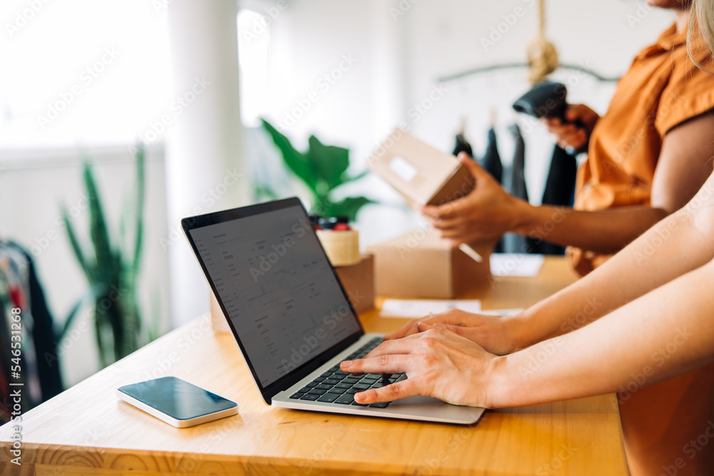 Online store worker using a laptop in a shop Online store worker using a laptop in a shop