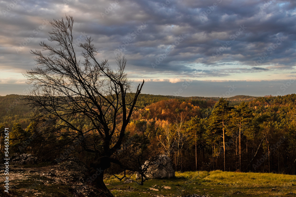 pogodna jesień jura krakowsko-częstochowska