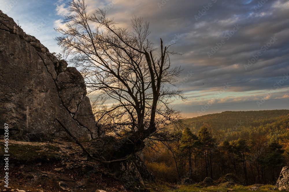 pogodna jesień jura krakowsko-częstochowska
