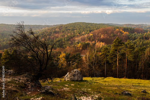 Obraz na płótnie pogodna jesień jura krakowsko-częstochowska w salonie