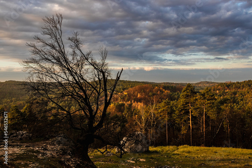 Obraz na płótnie pogodna jesień jura krakowsko-częstochowska w salonie