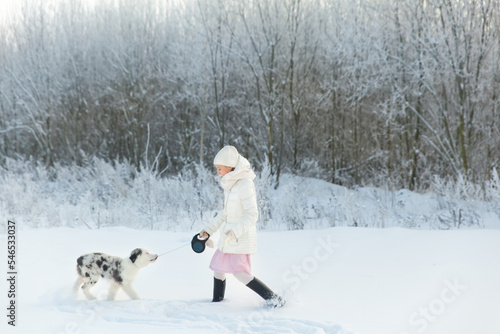 Girl playing with Australian Shepherd puppy © Olga Gorchichko