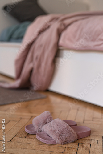 fluffy sleepers near spread out bed