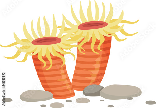 Sea anemone growing underwater. Cartoon marine animal