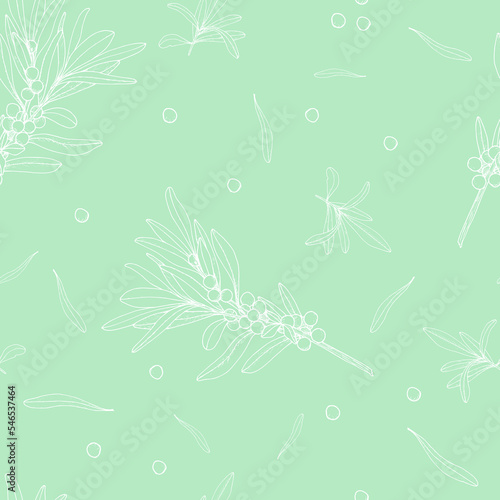  Simple drawing sketch of a branch with berries and leaves in white color on a mint background. Vector, seamless pattern.