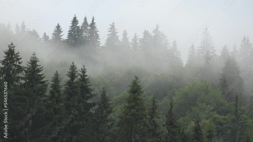 Raining in Mountains, Clouds Mystical Fog, Cloudy Rainy Day, Foggy Forest, Stormy Mist Smoke in Alpine Wood, Overcast Timelapse Raining in Mountains, Clouds Mystical Fog, Cloudy Rainy Day, Foggy Forest, Stormy Mist Smoke in Alpine Wood, Overcast Timelapse