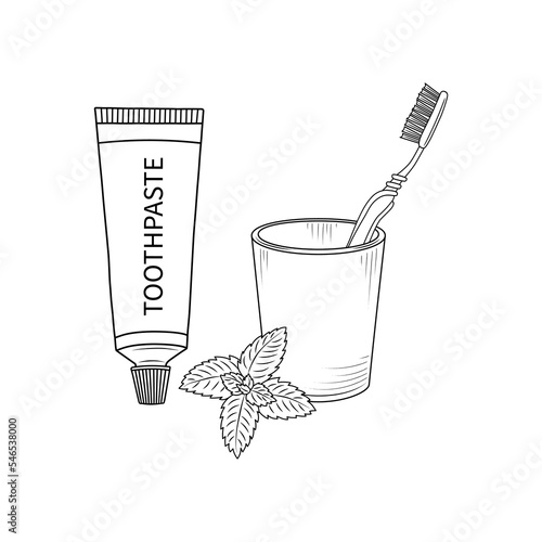 Stock vector toothpaste with mint and toothbrush hand drawn outline illustration
