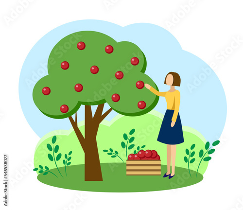 A girl plucks fruit from a tree