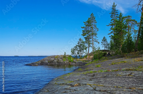 Pine trees on the granite shore of the polar lake