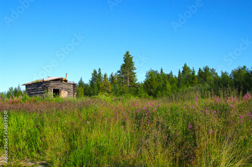 Abandoned winter cabin. photo