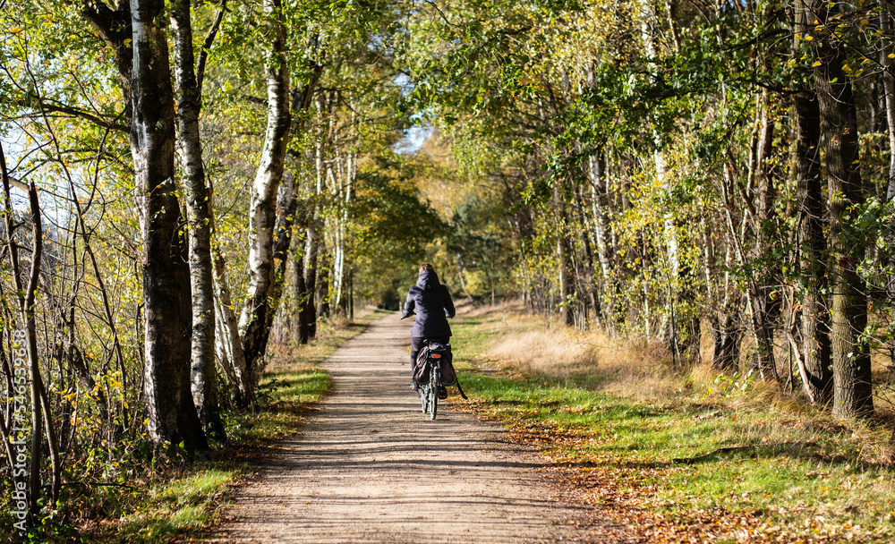 cycling in the park. Cycling outside in autumn. Autumn activities, healthy living