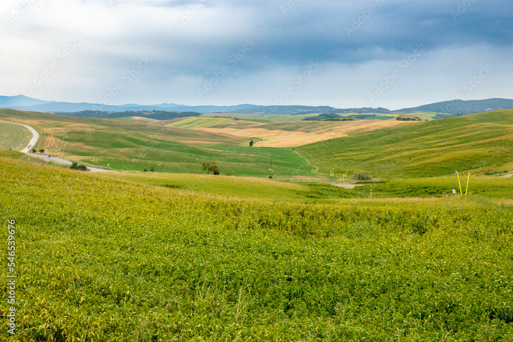 Italian landscape along via Francigena, between Siena and Ponte d'Arbia, Tuscany, June 2022