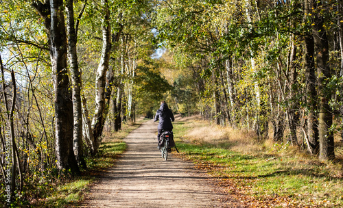 cycling in the park. Cycling outside in autumn. Autumn activities, healthy living