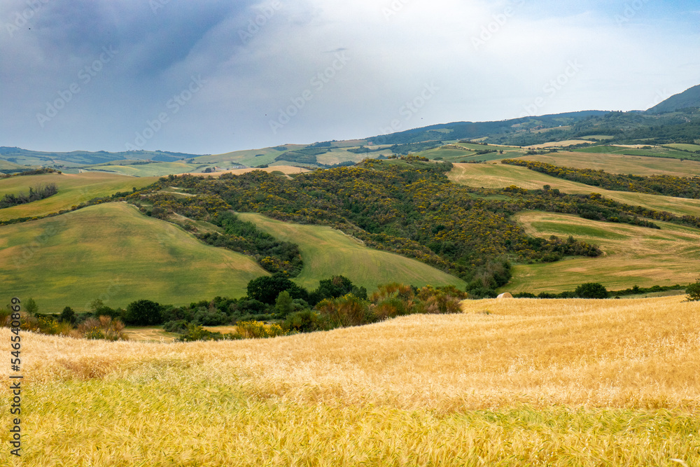 Italian landscape along via Francigena, between San Quirico d'Orcia and Radicofani, Tuscany, June 2022