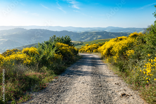 Italian landscape along via Francigena, between Radicofani and Acquapendente, Tuscany, June 2022
