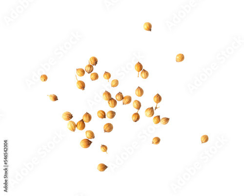 Coriander seeds isolated on transparent png