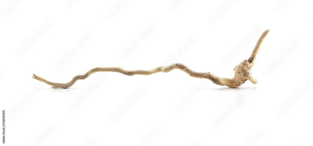 A piece of curved and twisted driftwood isolated on white with natural shadows. Tree root driftwood. A piece of curved and twisted driftwood isolated on white with natural shadows. Tree root driftwood.