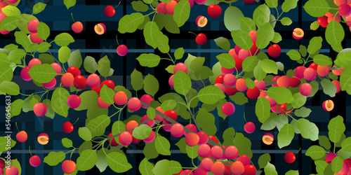 Branches cherry plum tree with ripe fruits. Dark background picture. Garden plant with edible harvest. Seamless pattern composition. Branch with foliage and leaves. Vector
